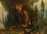 лесные пожары